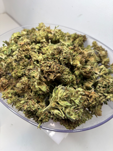 Oceana Flower Outdoor - Bigfoot Glue