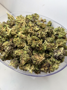 Oceana Flower Outdoor - Garlic Budder