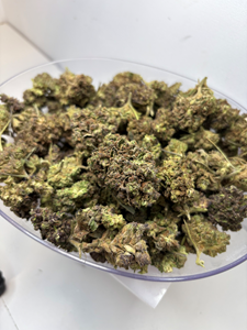 Oceana Flower Outdoor - Donutz