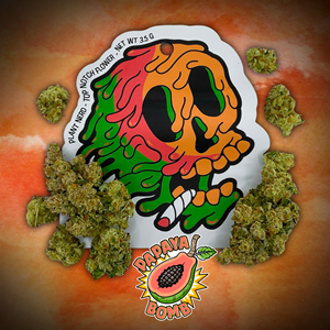 Plant Nerd Bulk Flower - Papaya Bomb (25.8%)