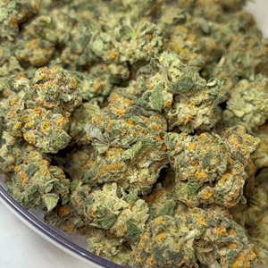 Ragged Wizard Bulk Flower - RS-11