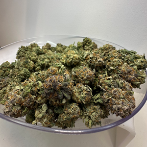 Ragged Wizard Bulk Flower - Goofiez